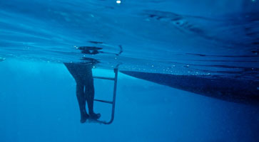 Glow Tape Ladder Swimming Pool
